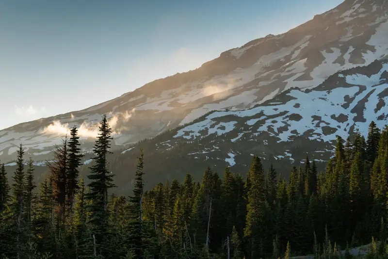 Snowy slopes of Mount Rainier rising behind a dark evergreen forest